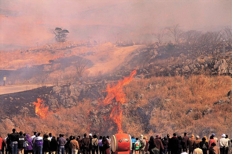 🏞️ 아키요시다이 카르스트 전망대 이미지 10